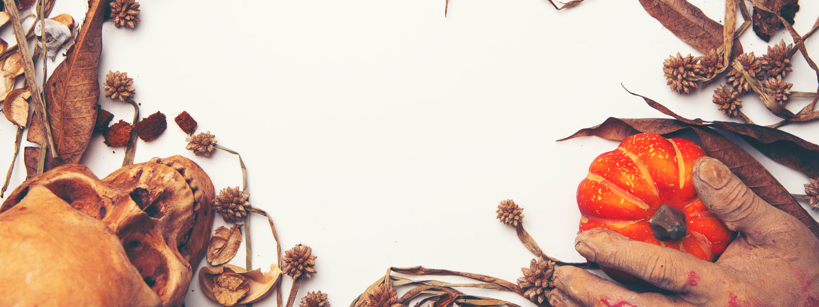 Halloween blog banner for Disney lashes