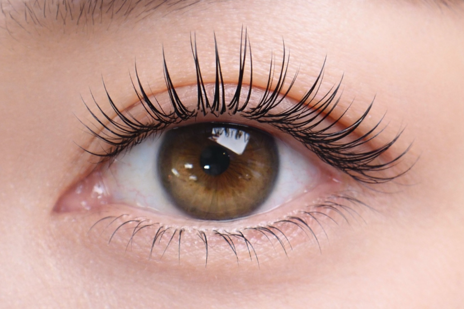 What Japan Taught Me About the Future of Lash Artistry