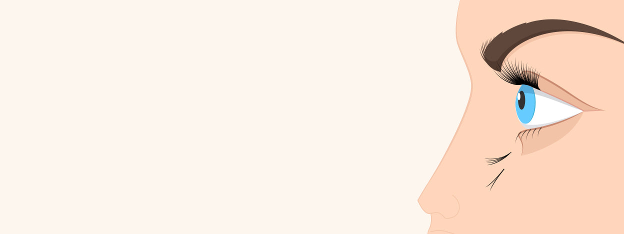 How to Deal with Lash Extensions Shedding | London Lash USA