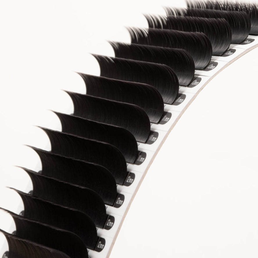 Classic Mayfair Lashes 0.20