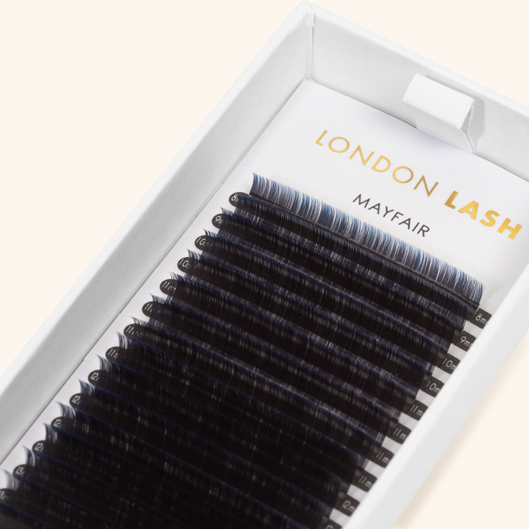 Blue Two-Tone Ombre Lashes 0.07 on Lash Tray