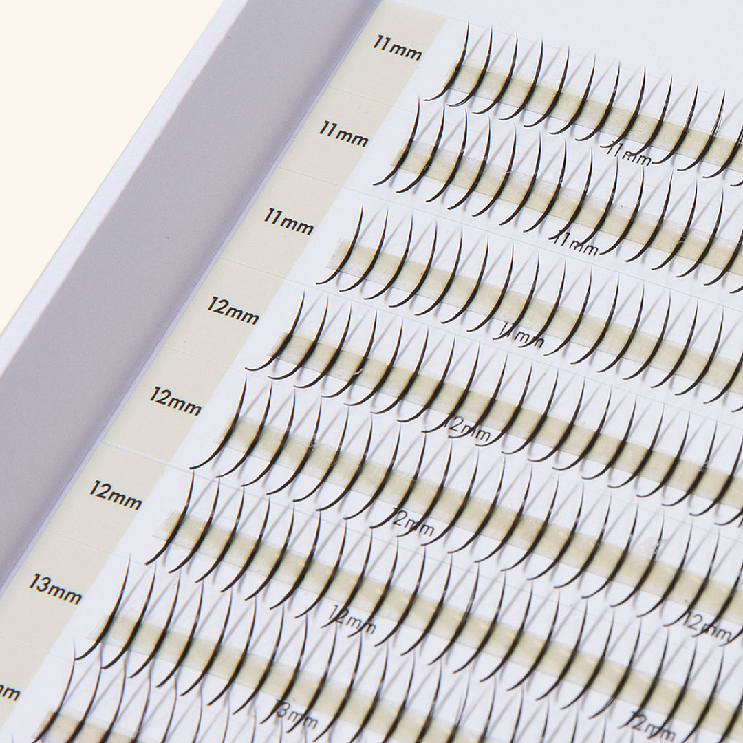 Tray of premade lash extensions