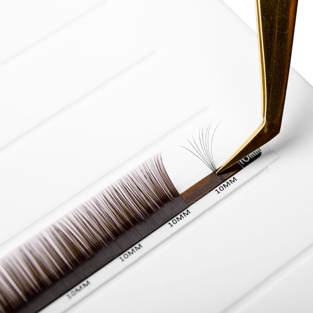 Tweezers Picking Up Mega Volume Black Brown Mayfair Lashes 0.03