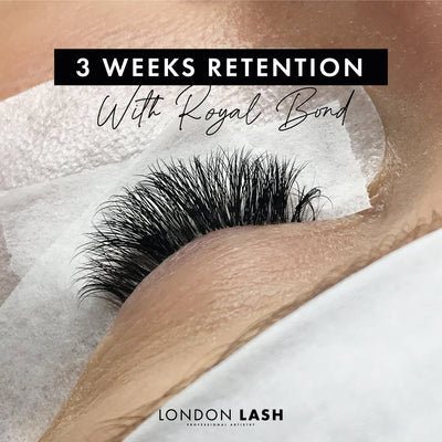 London Lash glue, professional eyelash extension glue