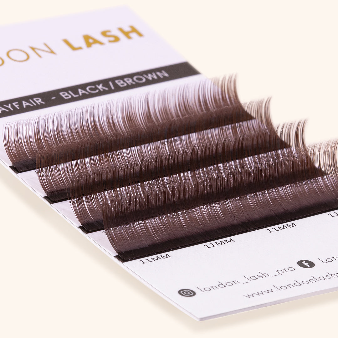 Brown Mayfair Lashes Sample Strips