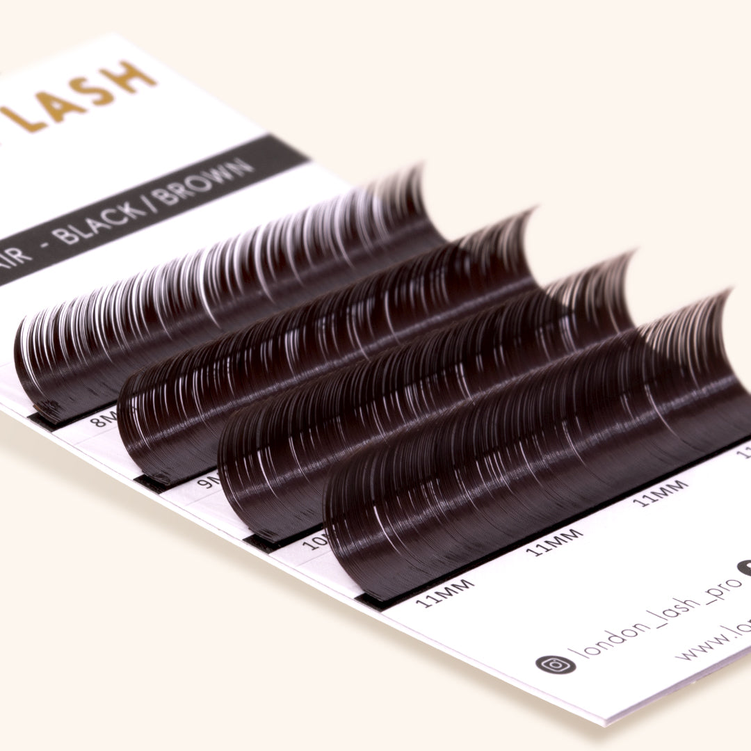 Sample Lash Extensions of Black Brown Mayfair Lashes