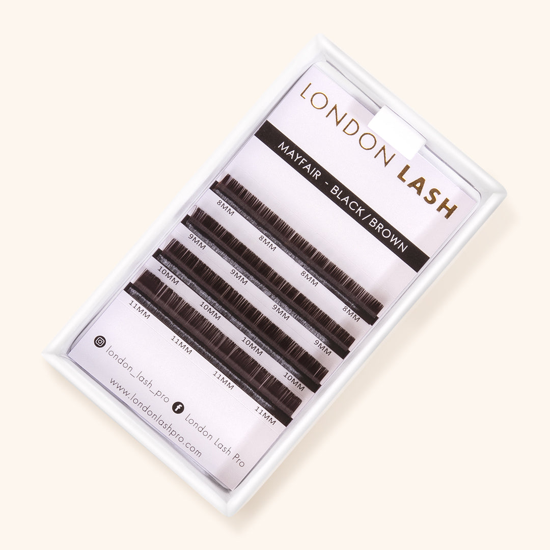 Black Brown Mayfair Lashes Samples