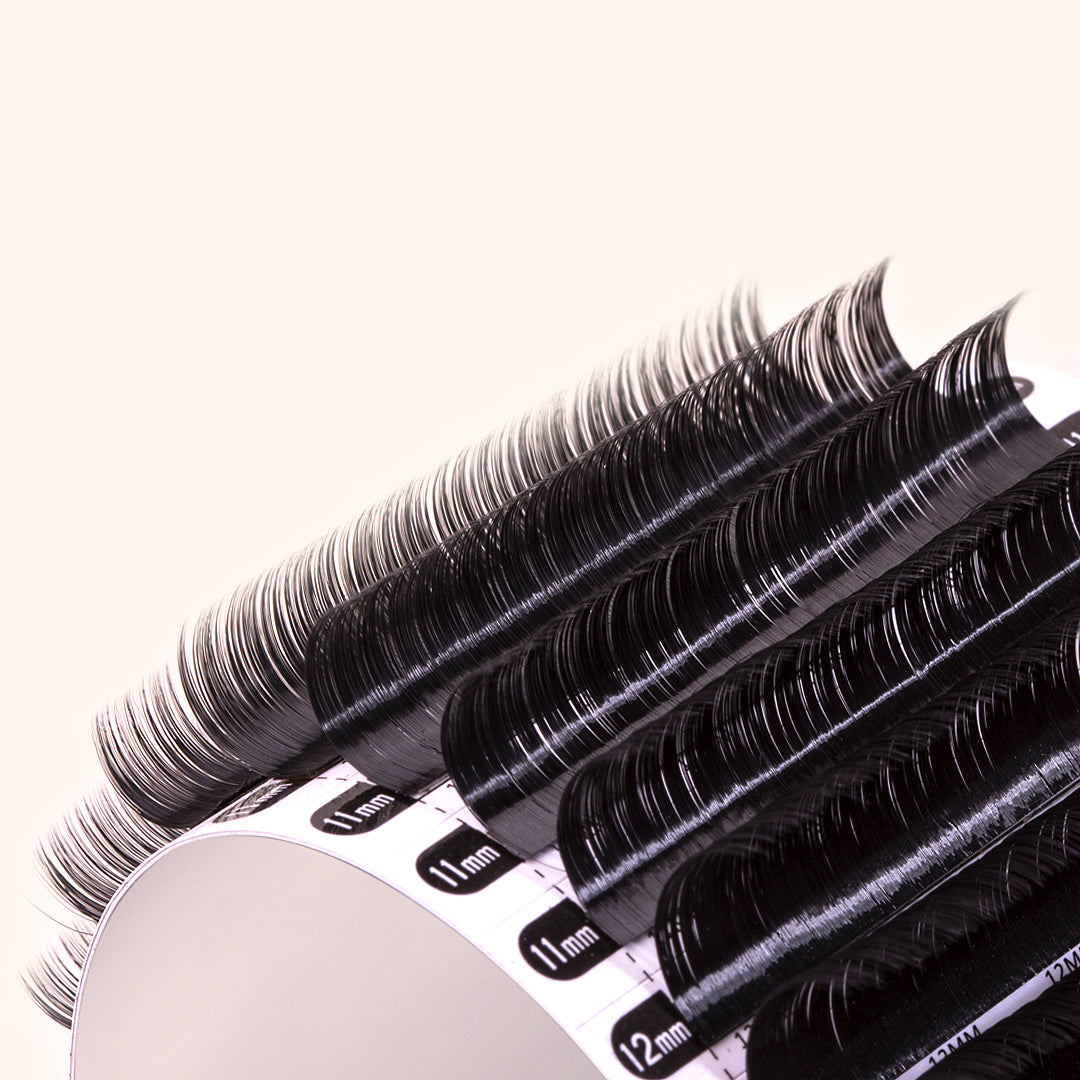 【美品】THE WHALE'S EYELASH Volume Lash Extensions - Chelsea Lashes 0.07 | London Lash