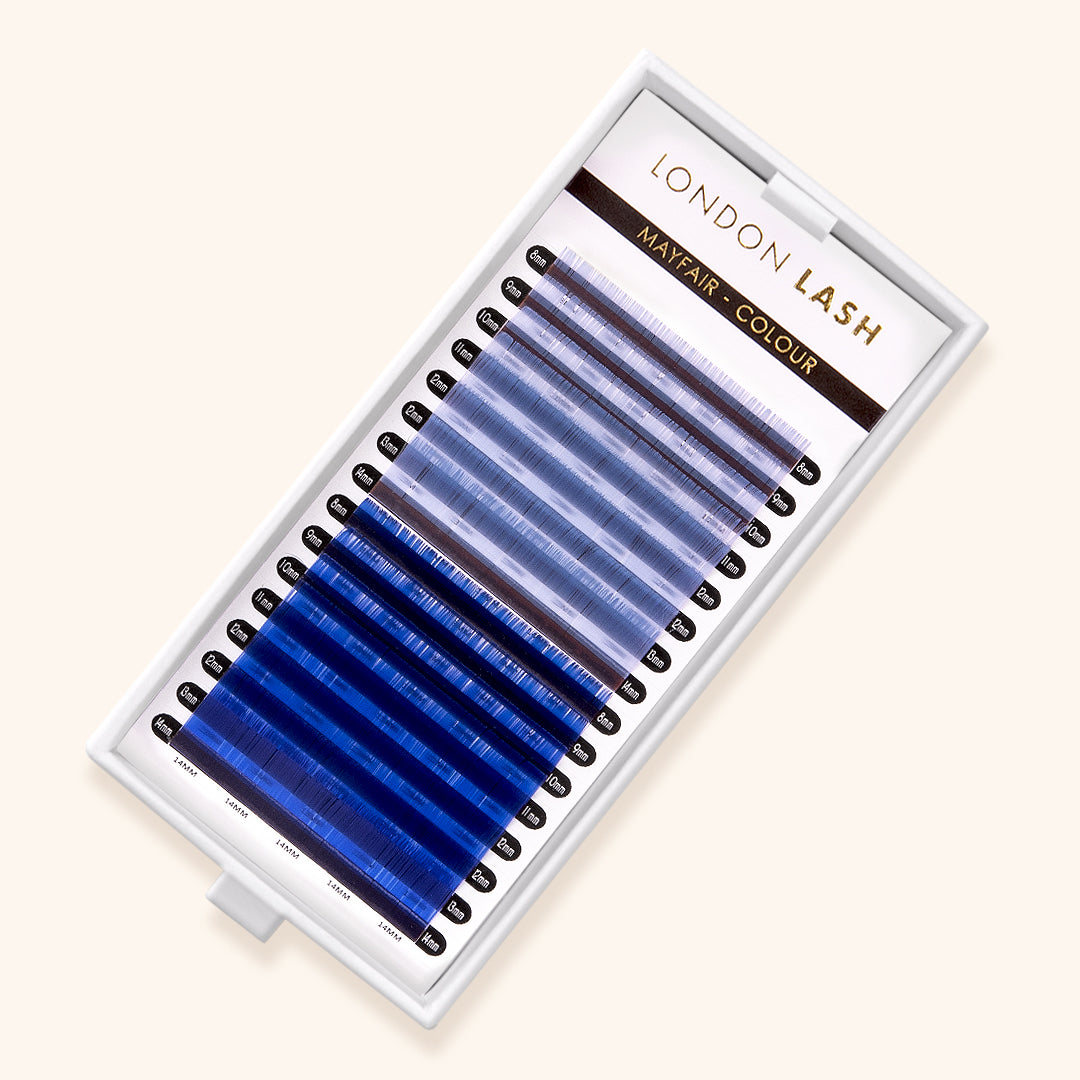 Sky Blue and Dark Blue Mayfair Lashes