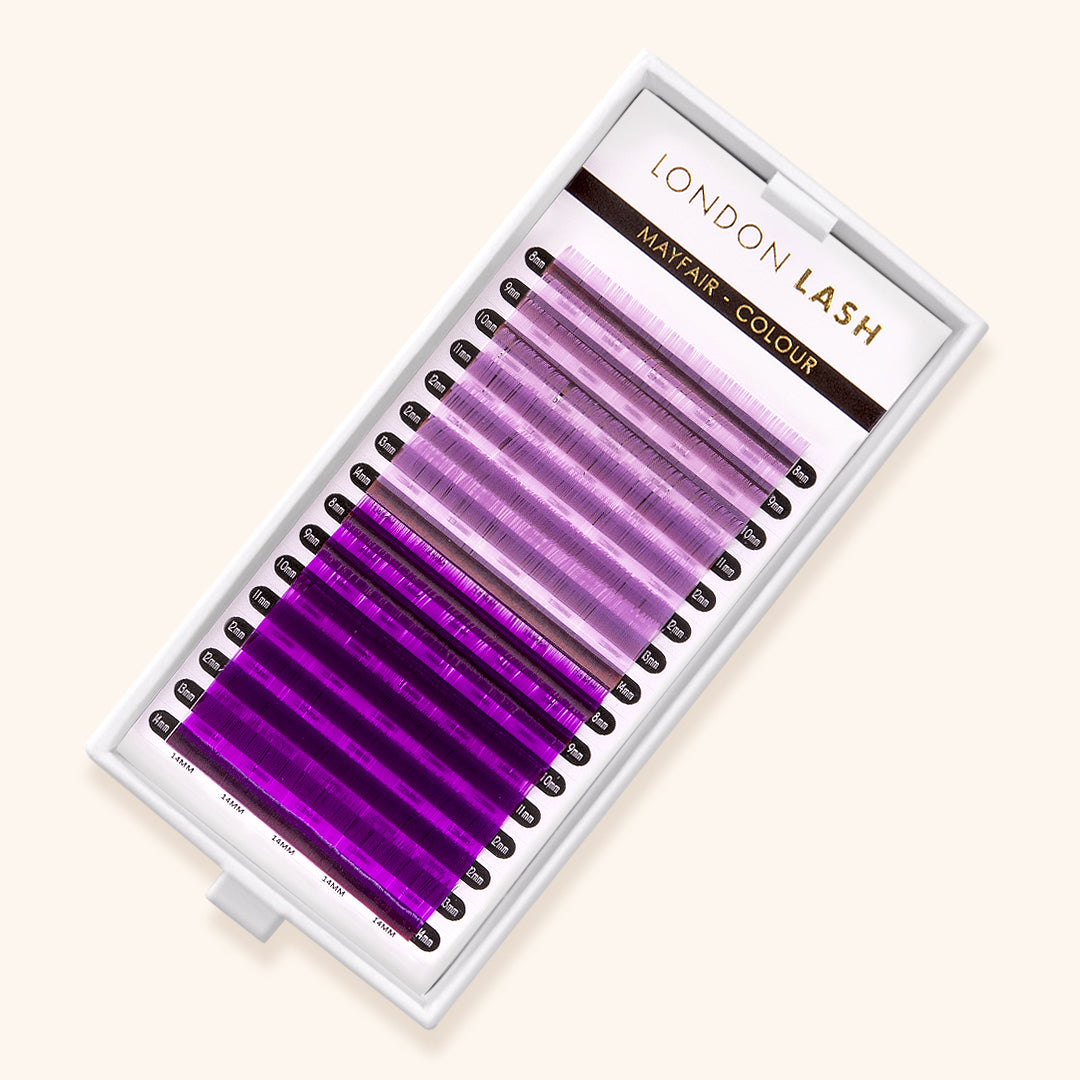 Light Violet and Dark Violet Mayfair Lashes