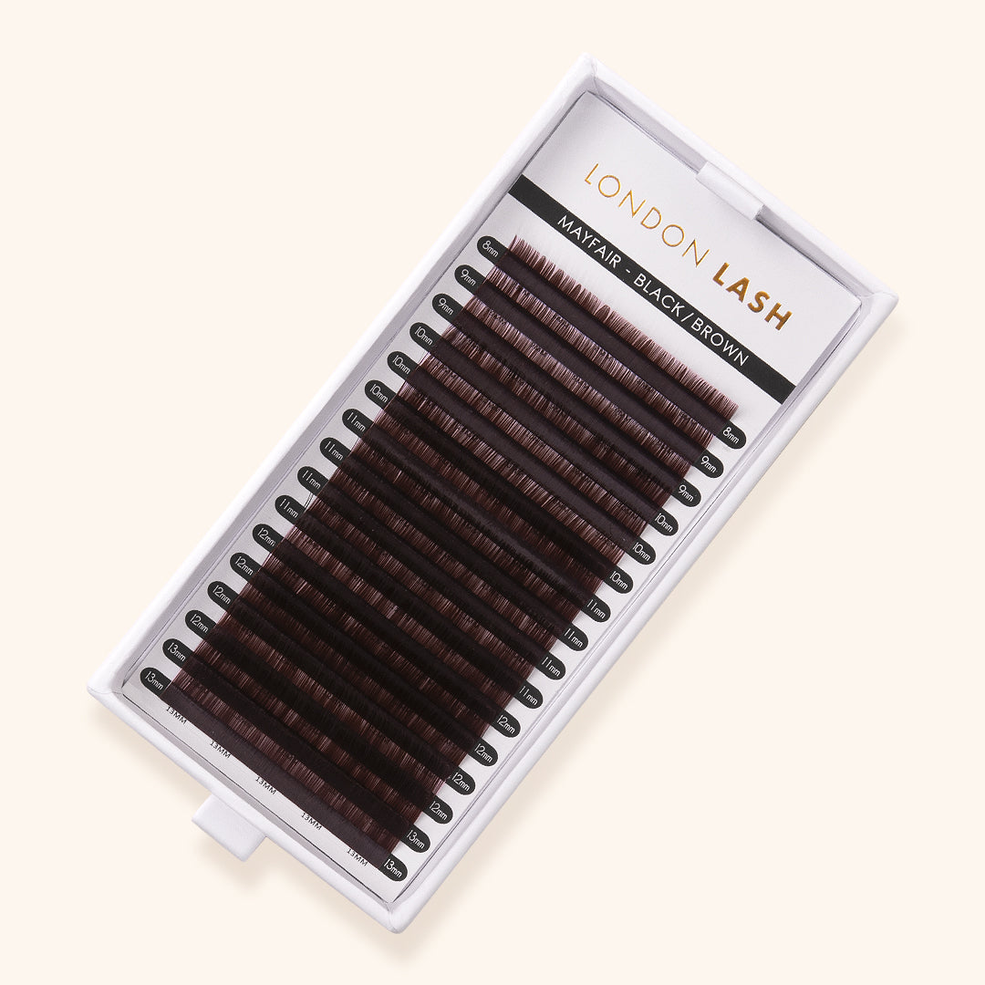 Mega Volume Black Brown Mayfair Lashes 0.03