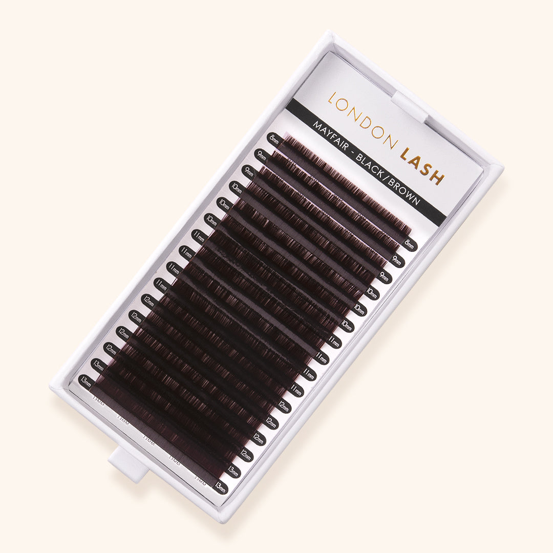 Volume Black Brown Mayfair Lashes 0.07 in Tray