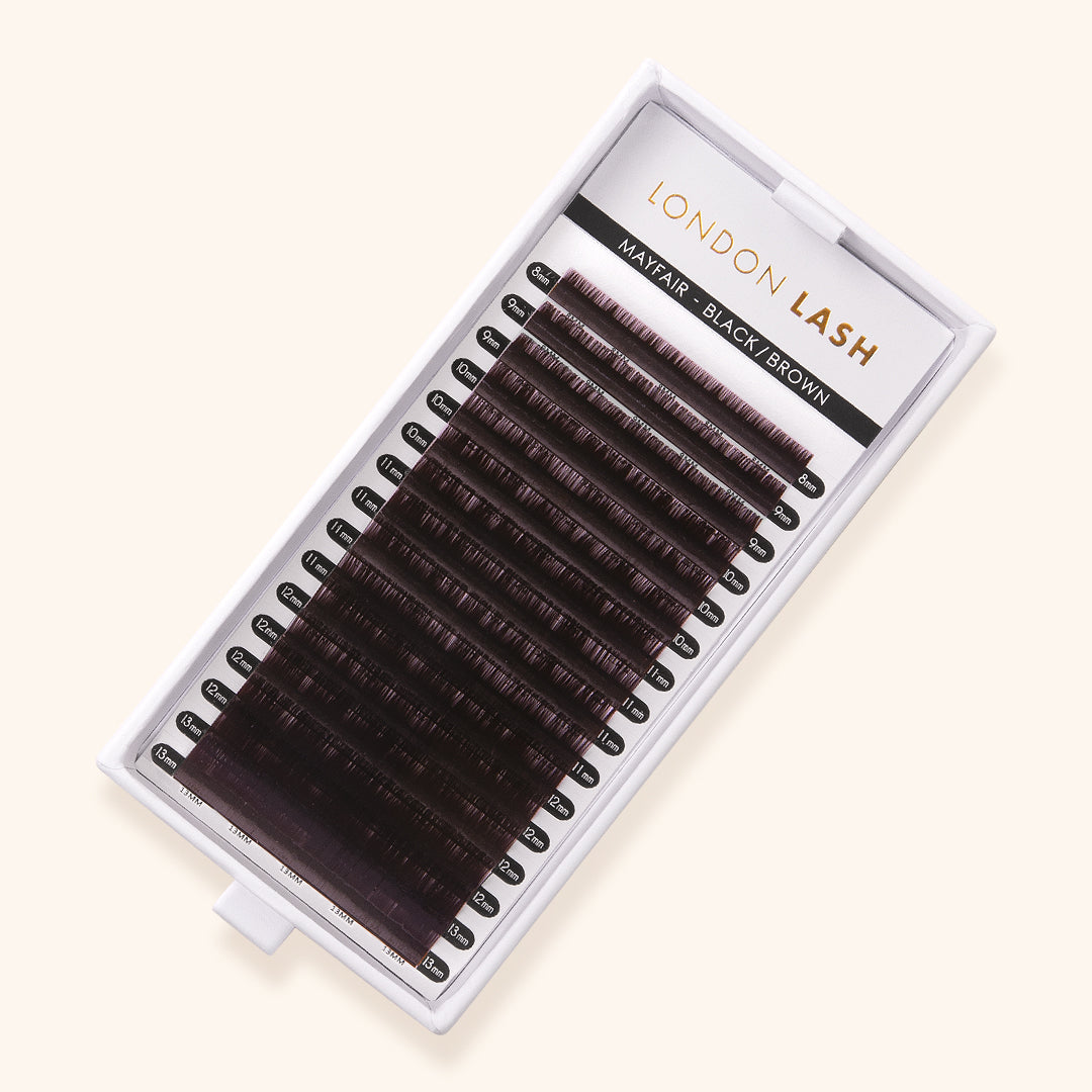 Volume and Classic Black Brown Mayfair Lashes 0.10 in Tray