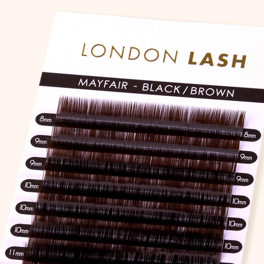 Black Brown Mayfair Lashes 0.10 for Volume and Classic lash sets