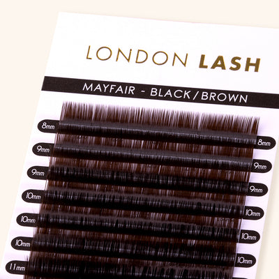 Volume/Classic Black Brown Mayfair Lashes 0.10