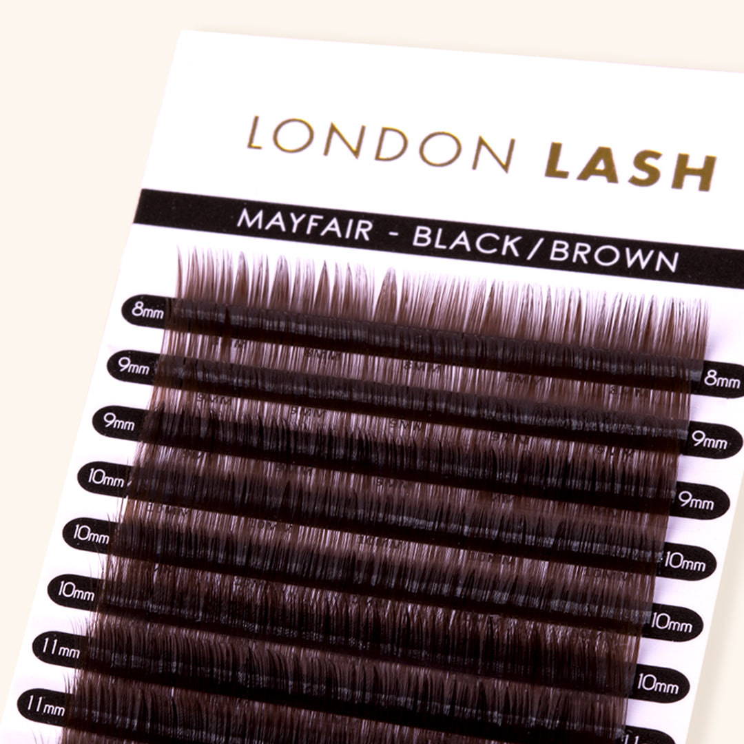 Mega Volume Black Brown Mayfair Lashes 0.05