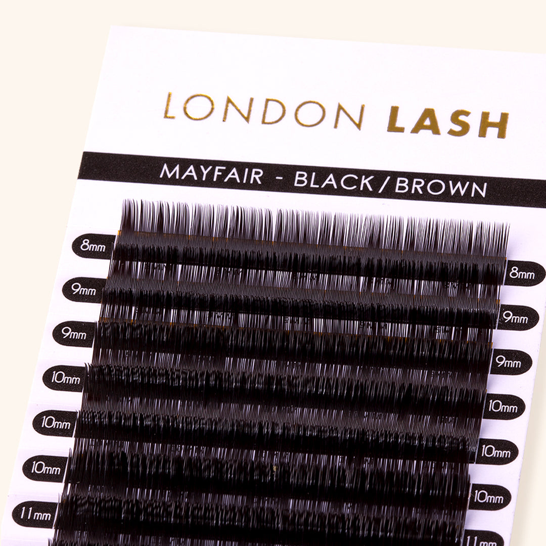 Classic Black Brown Mayfair Lashes 0.15