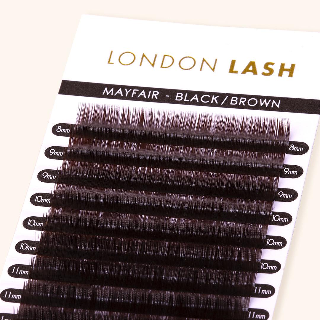 Volume Black Brown Mayfair Lashes 0.07