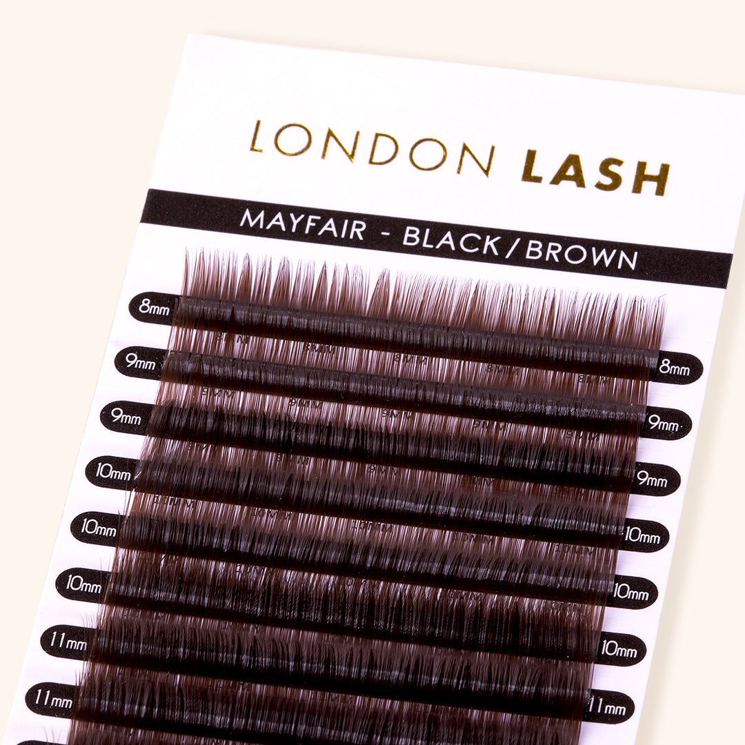 Lash Strips of Mega Volume Black Brown Mayfair Lashes 0.03