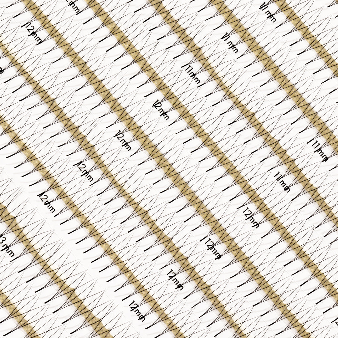 Close up of premade lash fans in lash tray