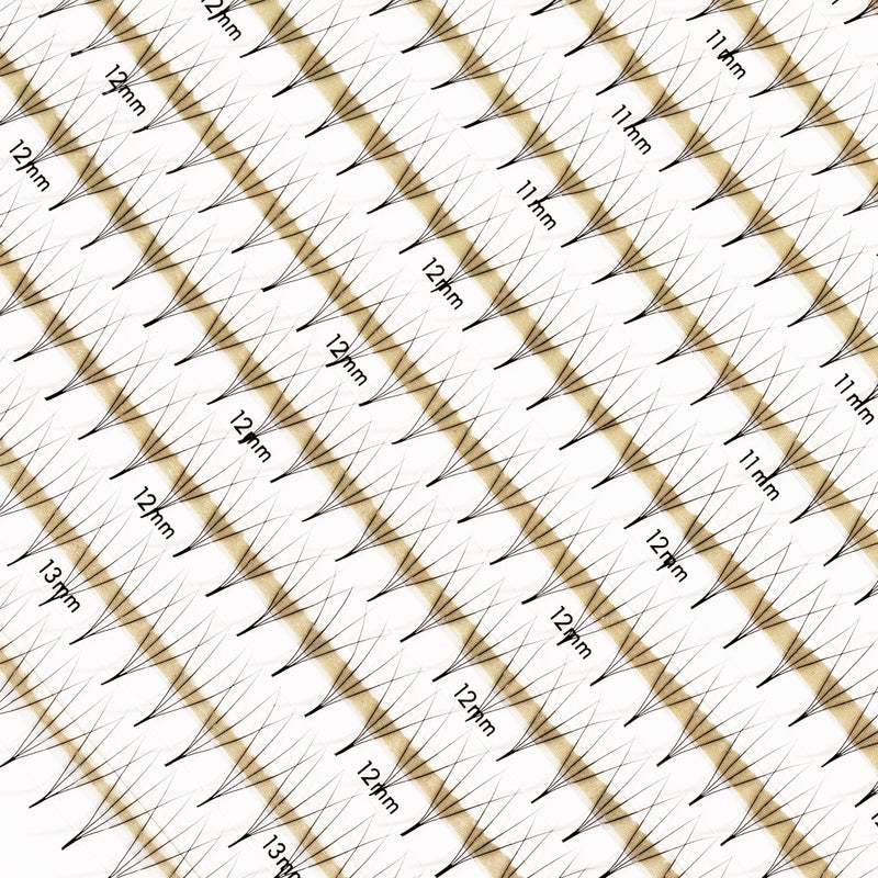 Close up of volume lash fans in 4D